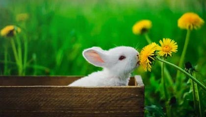 乐鱼官网-孙颖莎伤愈复出赢下首战 通过比赛检验竞技状态